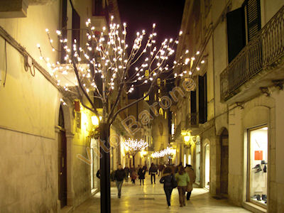 Altamura - Natale 2009