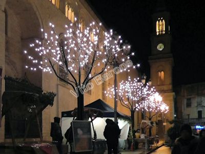 Altamura - Natale 2012 - Piazza Duomo