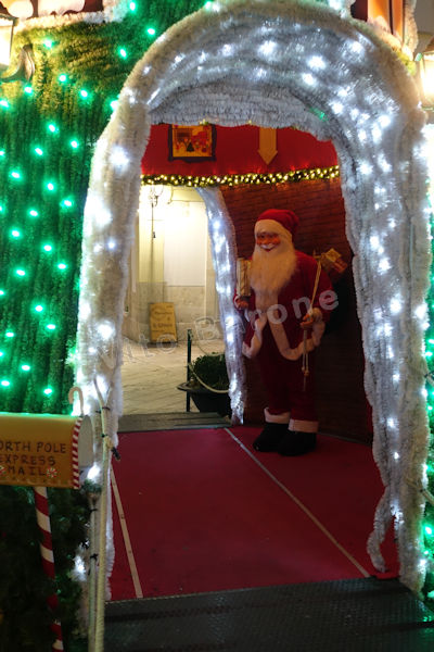 Altamura - Natale 2018 - Particolare albero