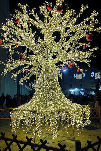 Altamura - Natale 2019 - piazza Duomo