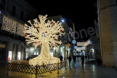 Altamura - Natale 2019 - piazza Duomo