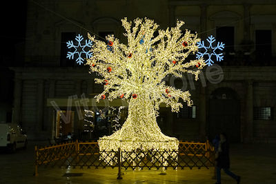 Altamura - Natale 2019 - piazza Duomo