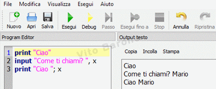 esempio dell'istruzione input