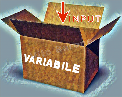 input in una variabile
